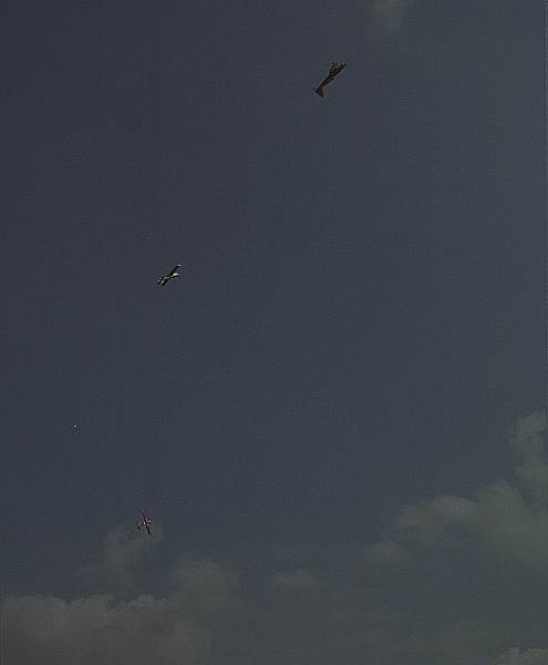 2684_31.jpg